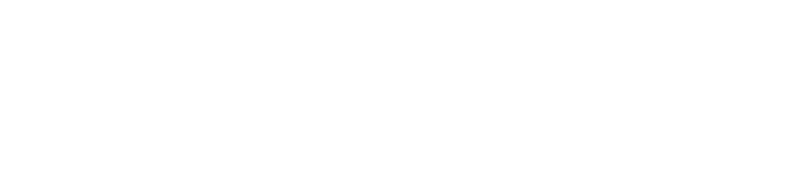 Logo di TourisMotion